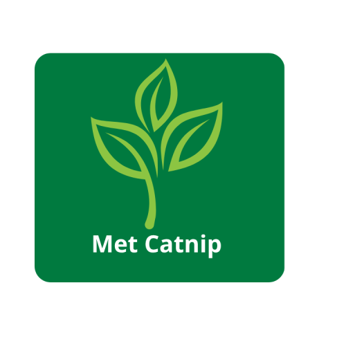 Kattenspeelgoed Uil Schapenwol 10cm - Assorti