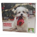Kerst Adventkalender - Hond Kerst Adventkalender - Hond