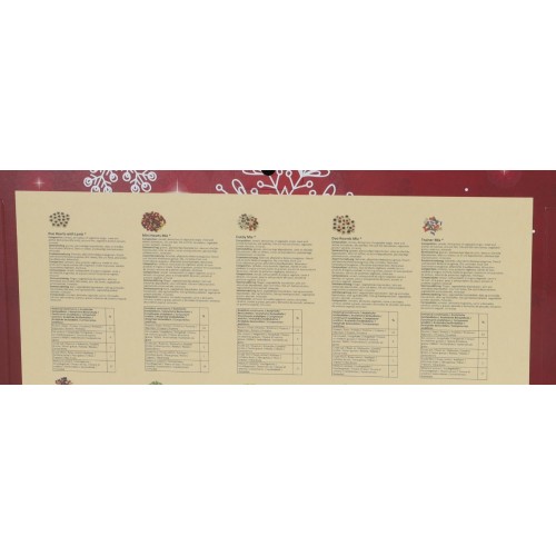 Kerst Adventkalender - Hond Kerst Adventkalender - Hond