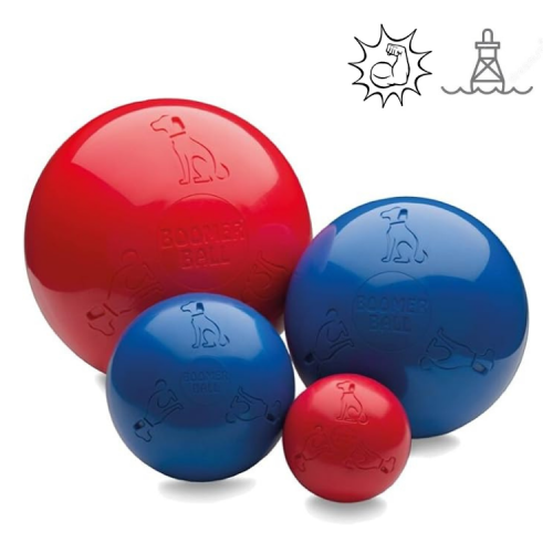 Hondenspeelgoed Boomer Ball - L 25cm