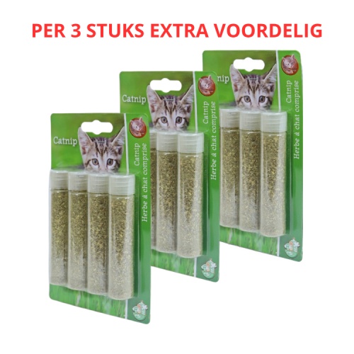 Kattenkruid Catnip in Tube - 4 stuks