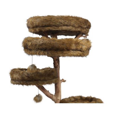 Boony Est 1941 Klimboom Sequoia - Grizzly Brown 233cm