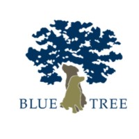 Blue Tree 