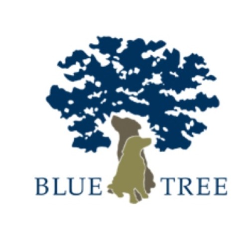 Blue Tree Candy Ice - Red Berry