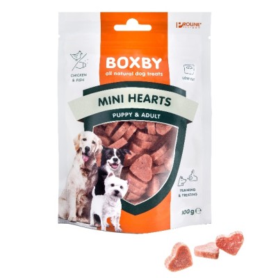 Boxby Mini Hearts - 4 voor 12 euro