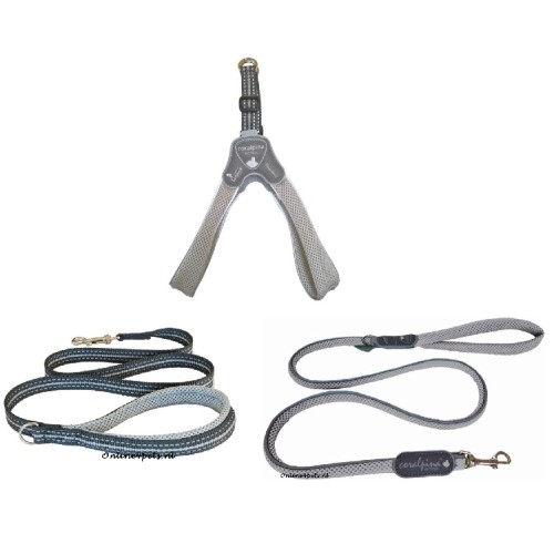 Coralpina Looplijn Cinquetorri Grijs - 2 maten