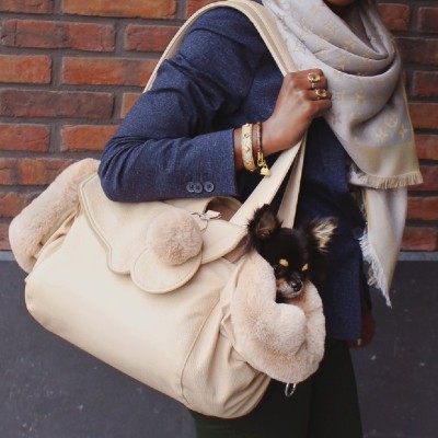 HH Luxury Dog Carrier Tas - Blauw