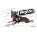 Julius K9 Velcro Tekstlabel - Dramaqueen 2 sizes
