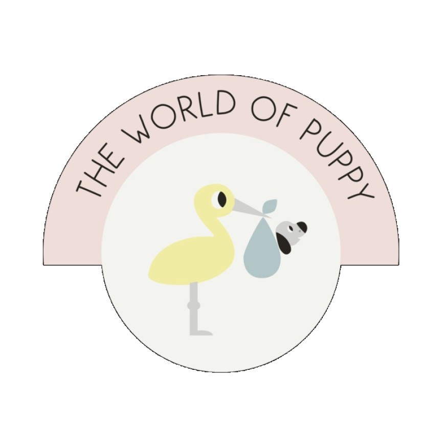 Beeztees The World of Puppy 