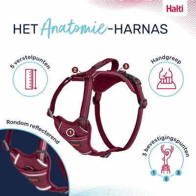 Hondenharnas Anatomy Halti - Magenta 5 maten