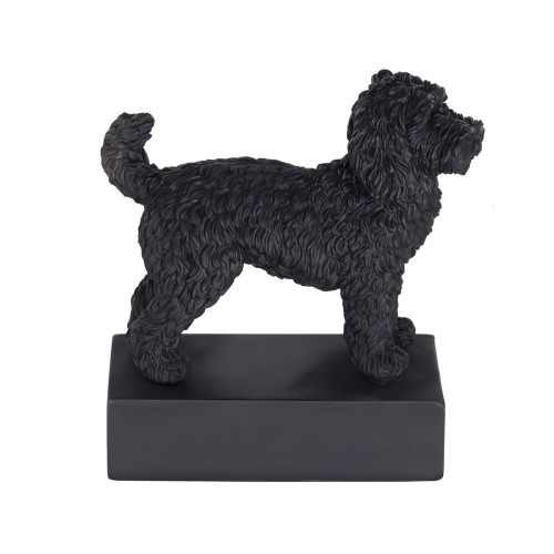 Hondenras Beeld Labradoodle 10050 14