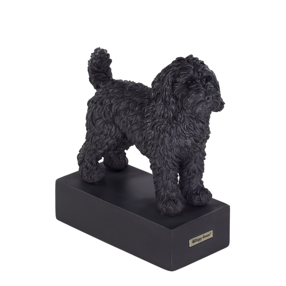 Hondenras Beeld Labradoodle 10050 14