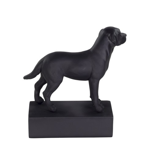 Hondenras Beeld - Labrador