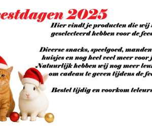 Sint/Kerst 2025