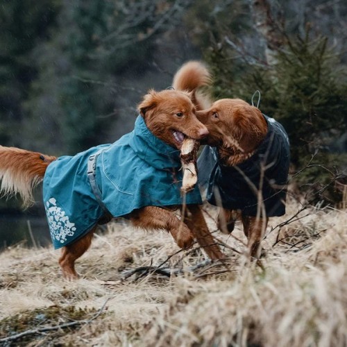 Hurtta Coat Monsoon Blackberry - 13 maten