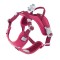 Hurtta Warrior Harness ECO 2 - Ruby 5 maten