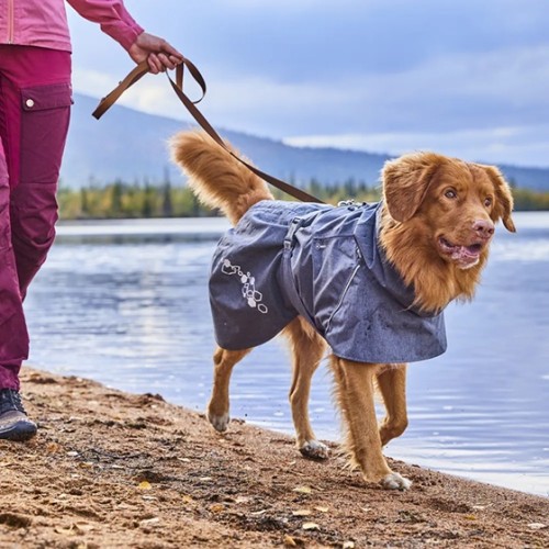 Hurtta Eco Leash Warrior Standard - Blackberry