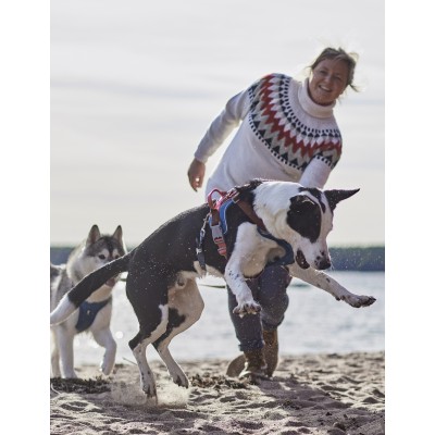 Harnas Warrior Warmer Eco Bilberry Mix - 5 maten