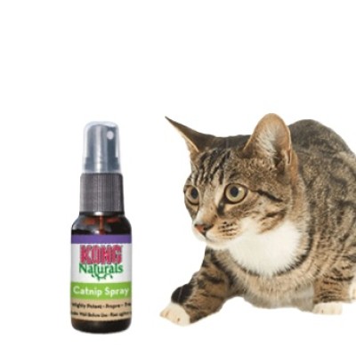 Kong Kattenkruid Catnip - Spray