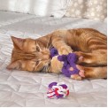 Kong Kat Active Rope met Catnip - 2 stuks
