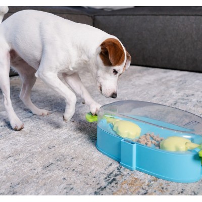 Nina Ottosson Hond Spel - Paw 'n Play TNT