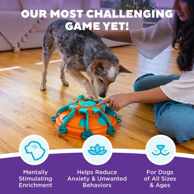 Nina Ottosson Hond Spel - Tower of Treats