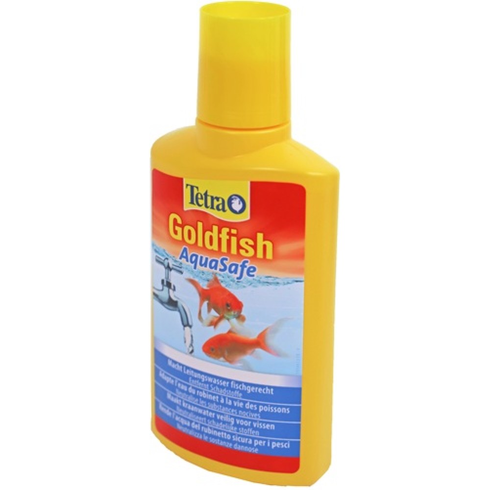 View of 5 Best Fish Tank Ideas for a 29-Gallon Freshwater Aquarium